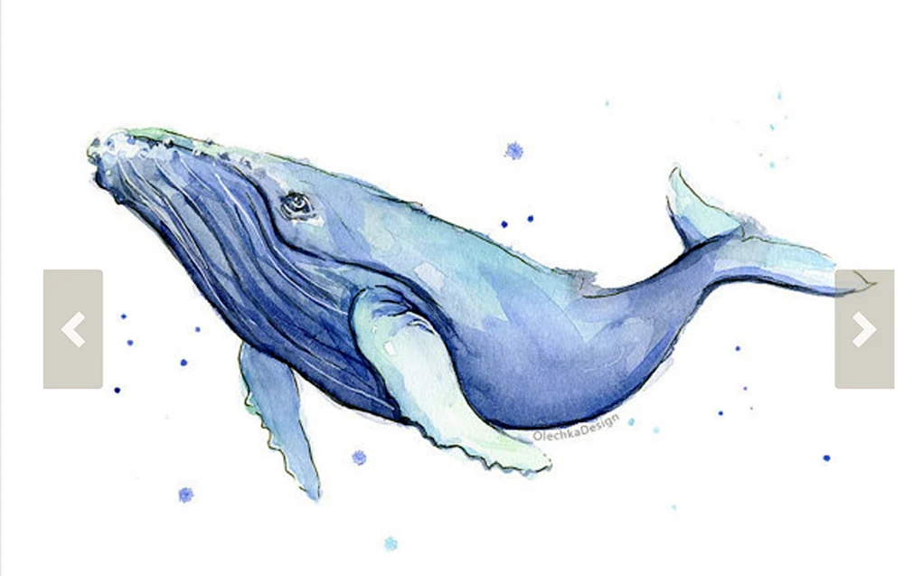 Blauwal Aquarell