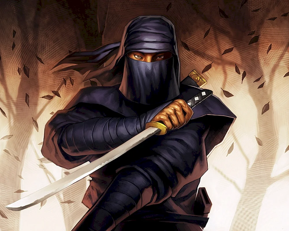 Japanische ninja ninjutsu