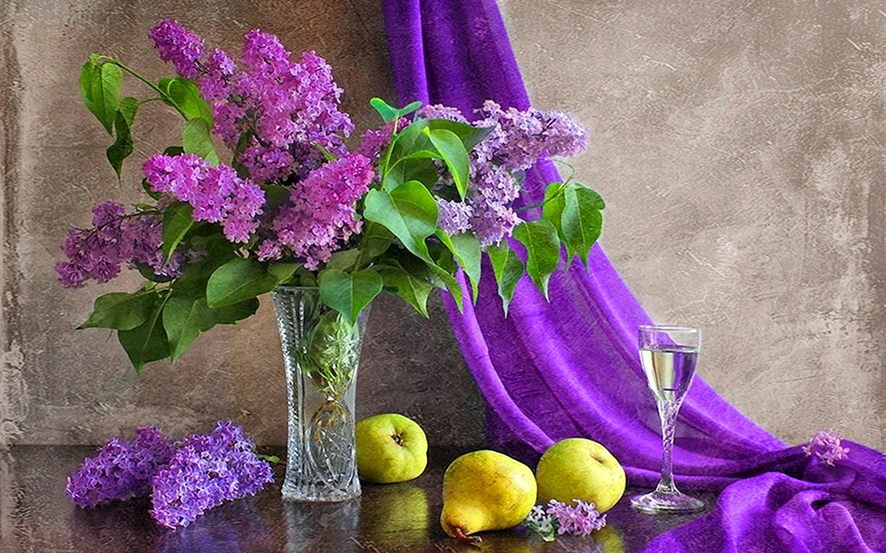 Flieder Andriyaki