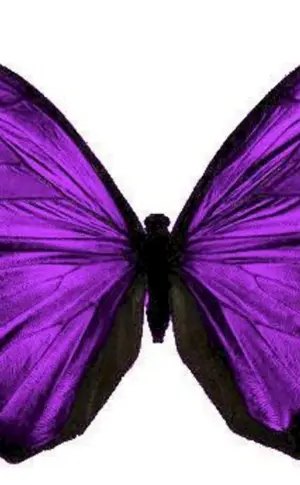 Lila Schmetterling