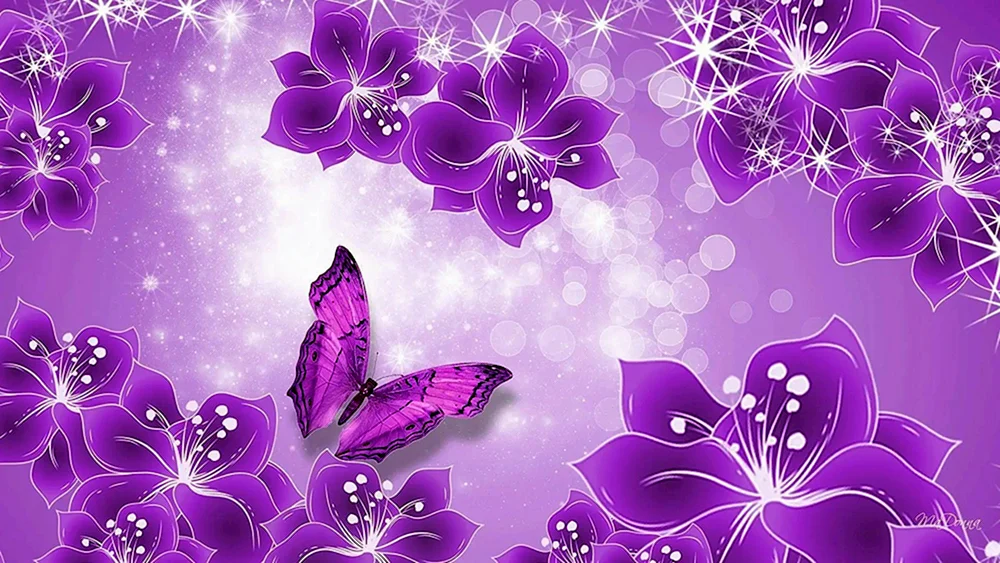 Lila Hintergrund