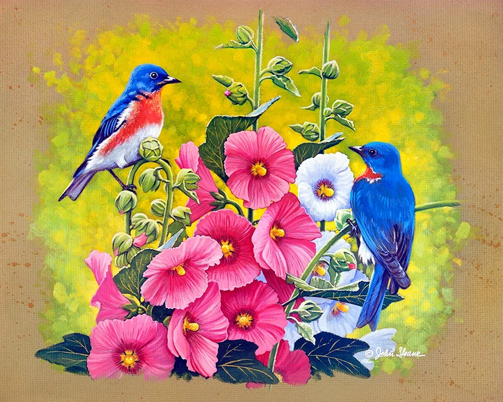 Sommervögel