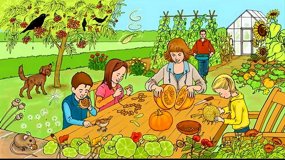 Erzählbilder für Kinder