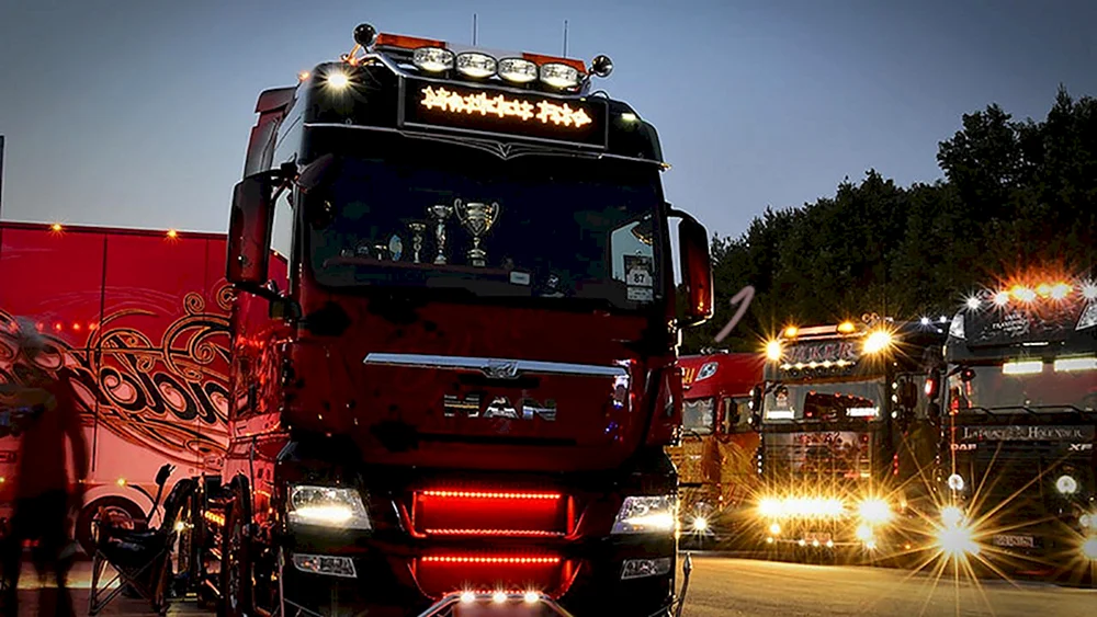 Mercedes Actros zima