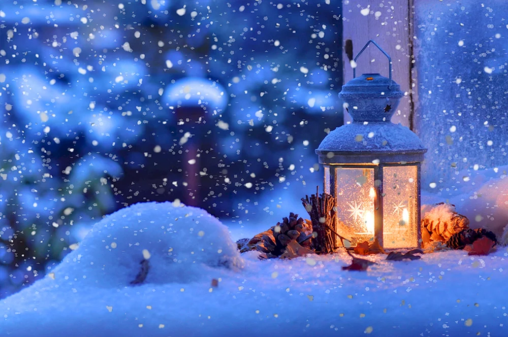 Wintertiere