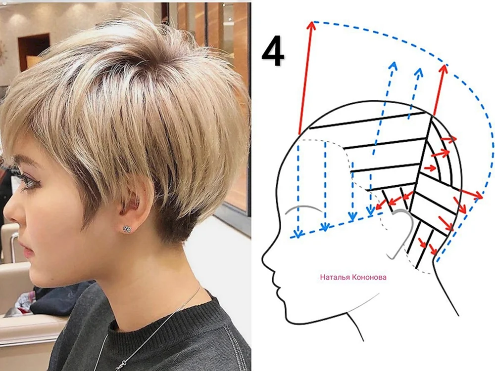Pixie Bob Haarschnitt Tabelle für mittleres Haar