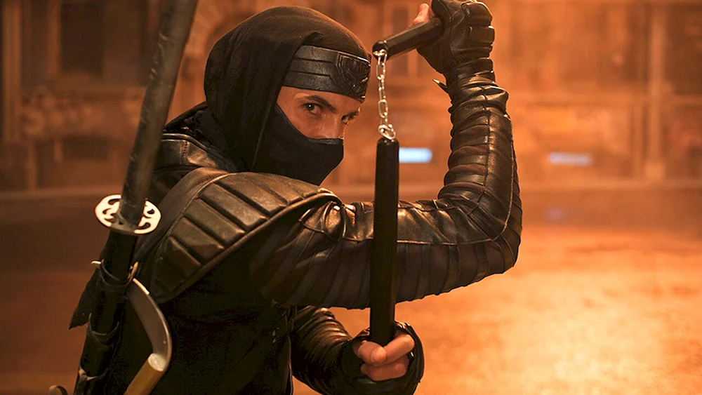 Revenge of the Ninja 2Scott Adkins ninja