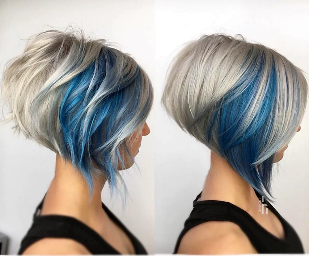 Versteckte Färbung auf Pixie Bob