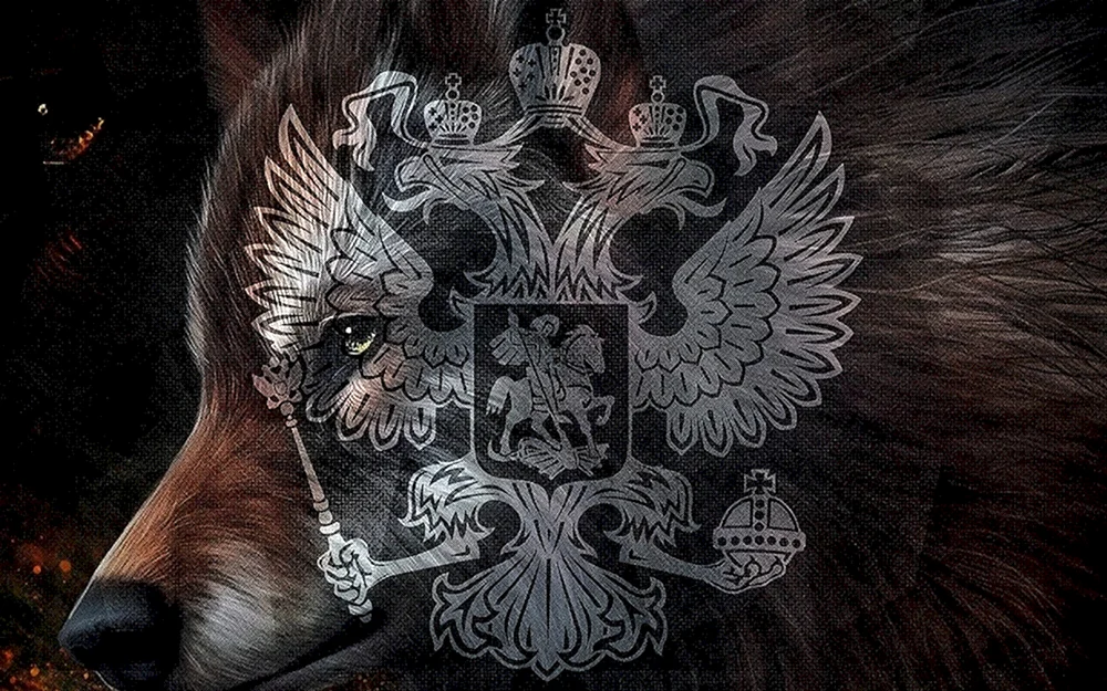 Tschetschenien Wolf Foto