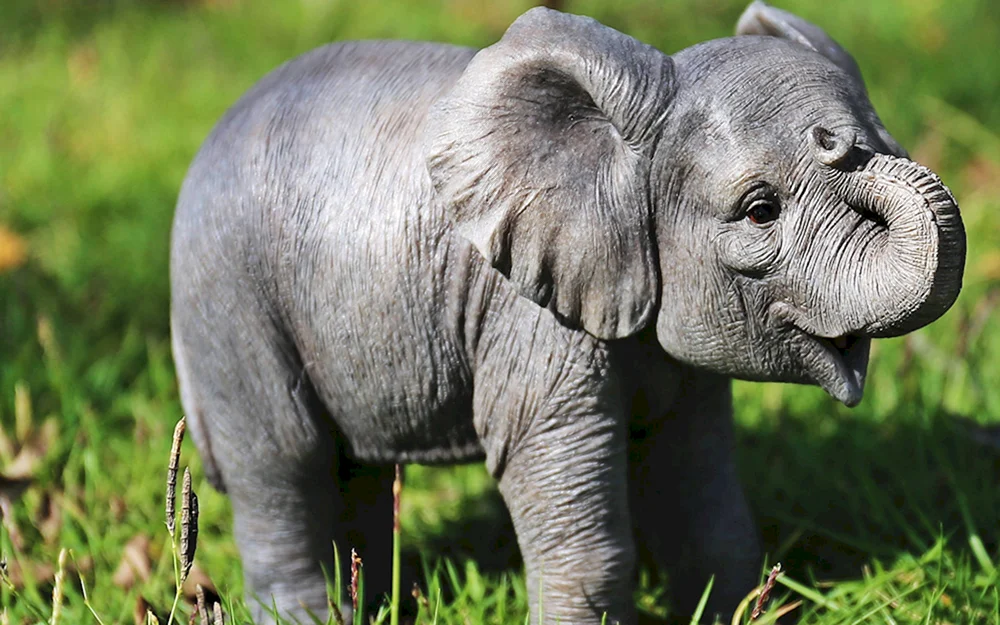 Elefant
