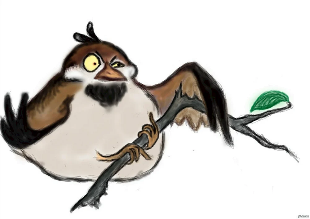 Fluffiger Sperling