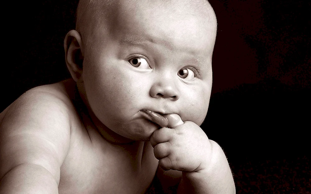 Schöne Babys.
