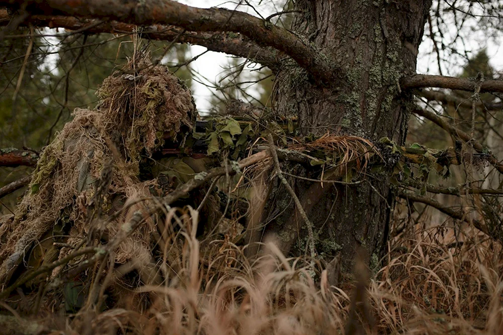 Kernunn Leshy