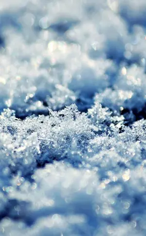 Schnee