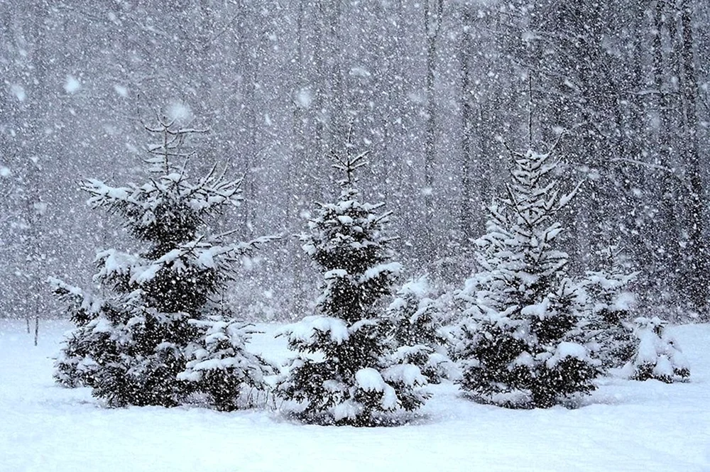 Fallender Schnee