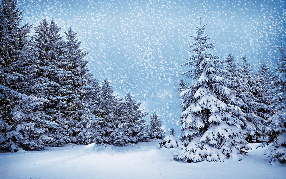 Fallender Schnee