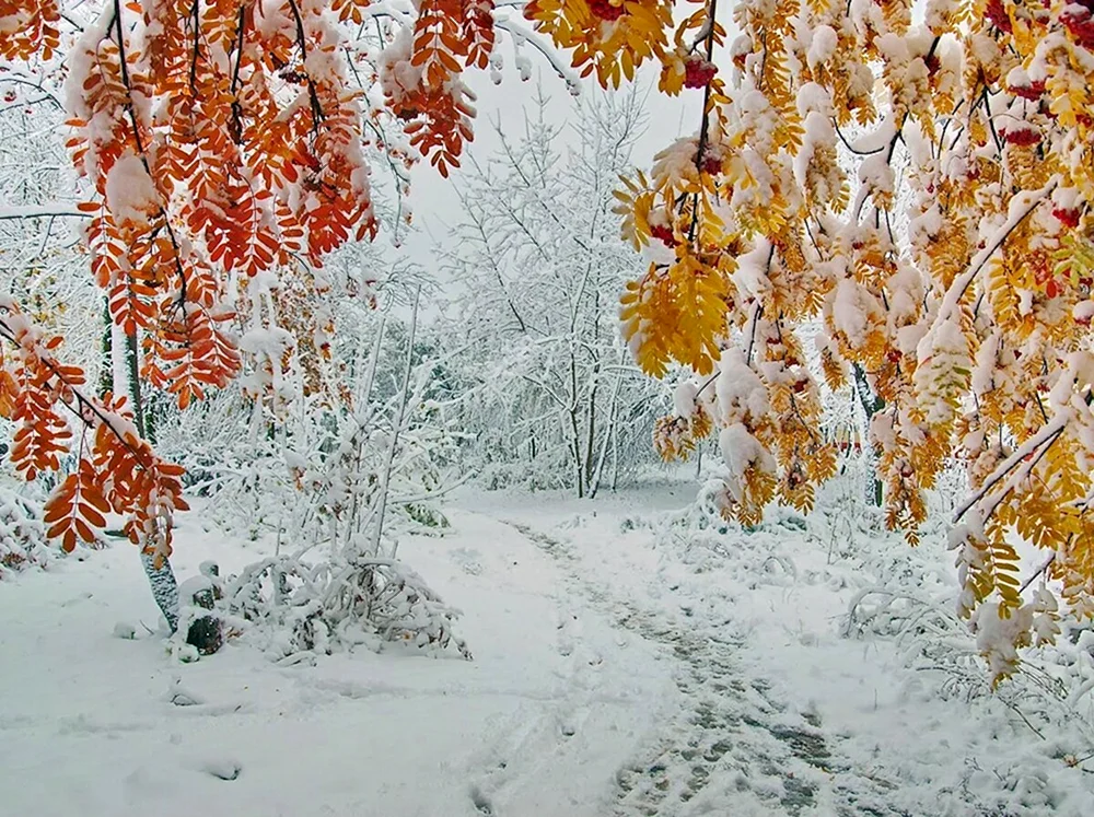 Spätwinter