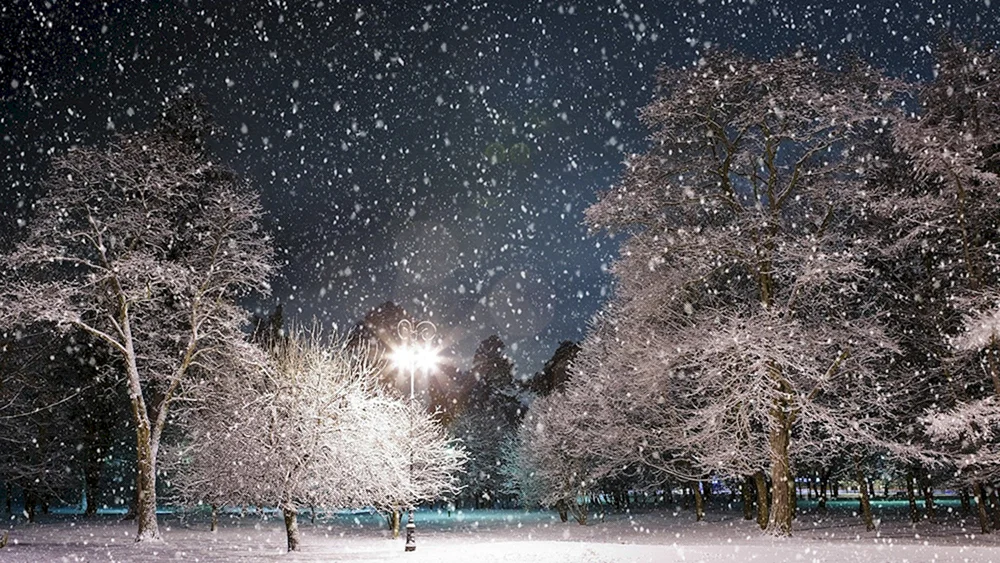 Schönster Schneefall