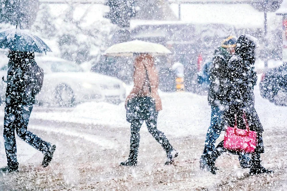 Schönster Schneefall