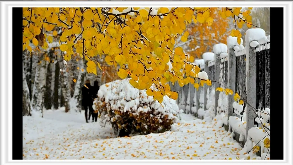 Frühwinter