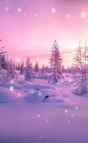 Schneelandschaft