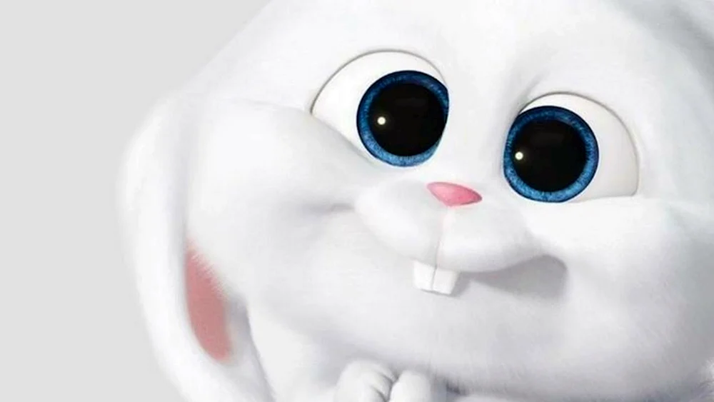 Das geheime Leben der Haustiere Hase Schneeball