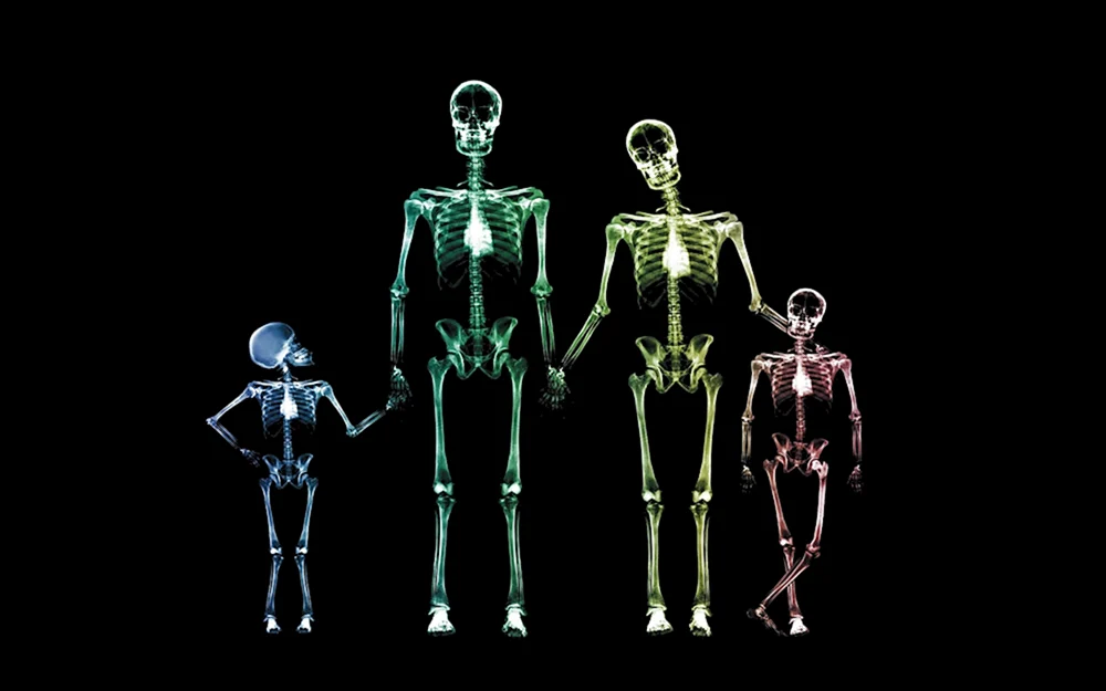Hintergrund für Anatomie-Präsentation