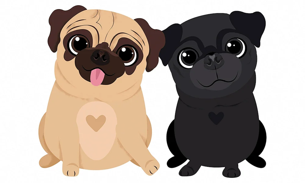 Mops