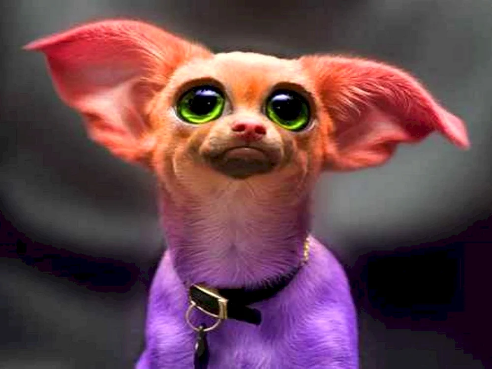 Mops Hund mit gewölbten Augen