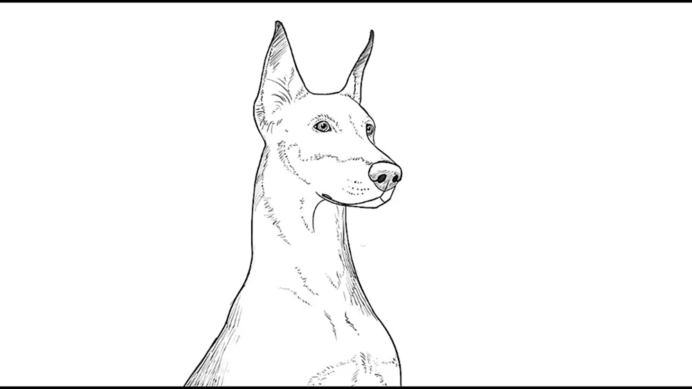 Hundezeichnung