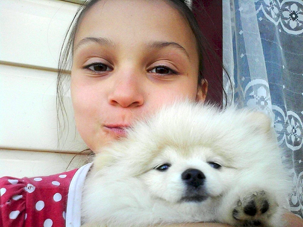 Lucys Hund
