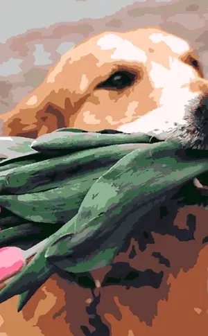 Hund mit Blumenstrauß