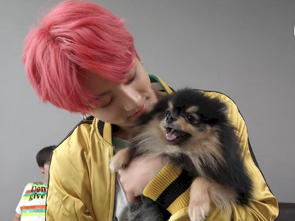 Entan BTS