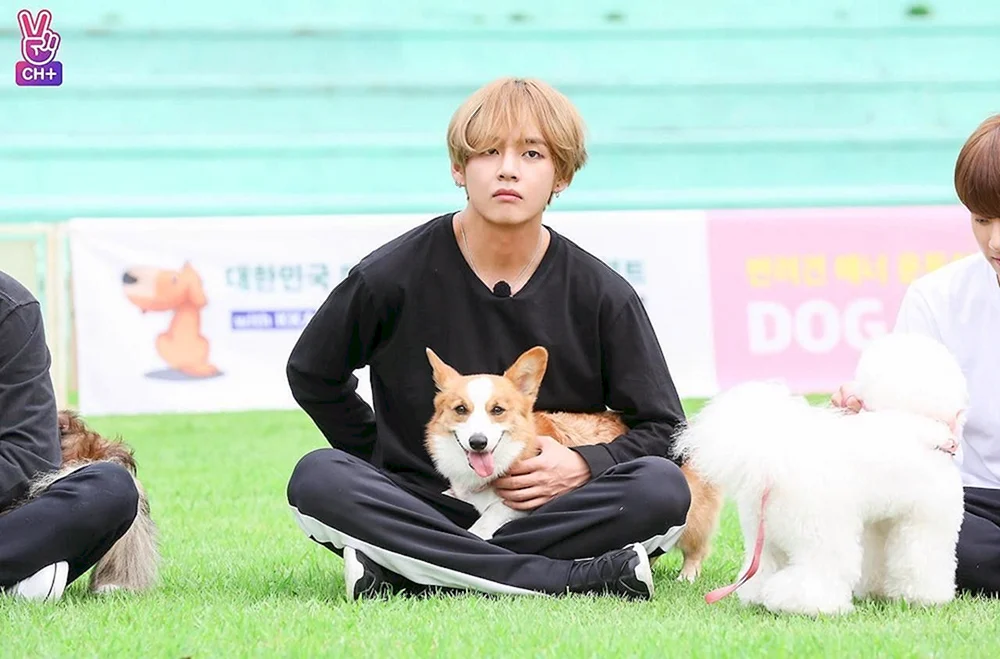 BTS Daehaena und Yontan