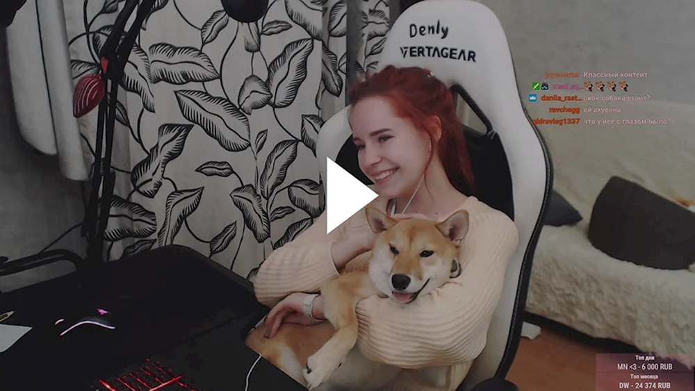 Haley Twitch