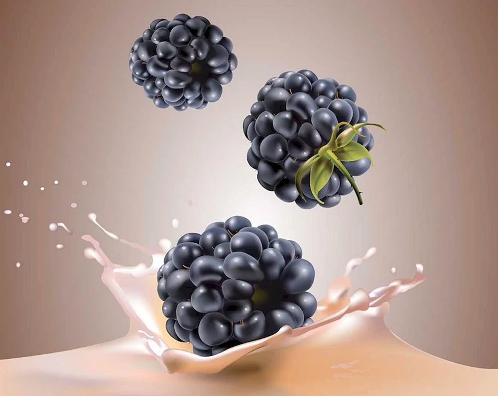 Himbeere und Brombeere