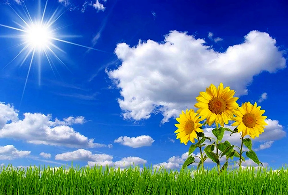 Sonnenhimmel