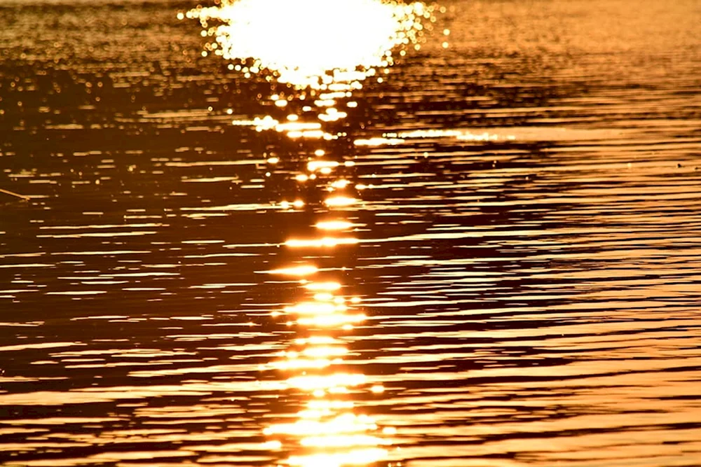 Sonnenblendung auf dem Wasser
