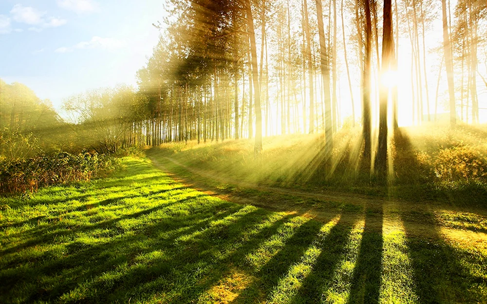 Schöner Sonnenschein.