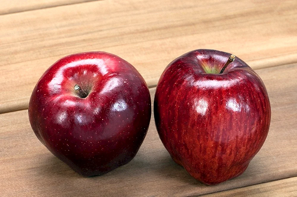 Apfelsorte Red Delicious