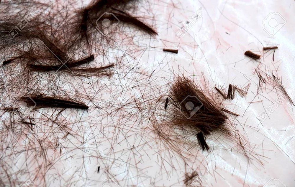 Geschnittene Haare am Boden