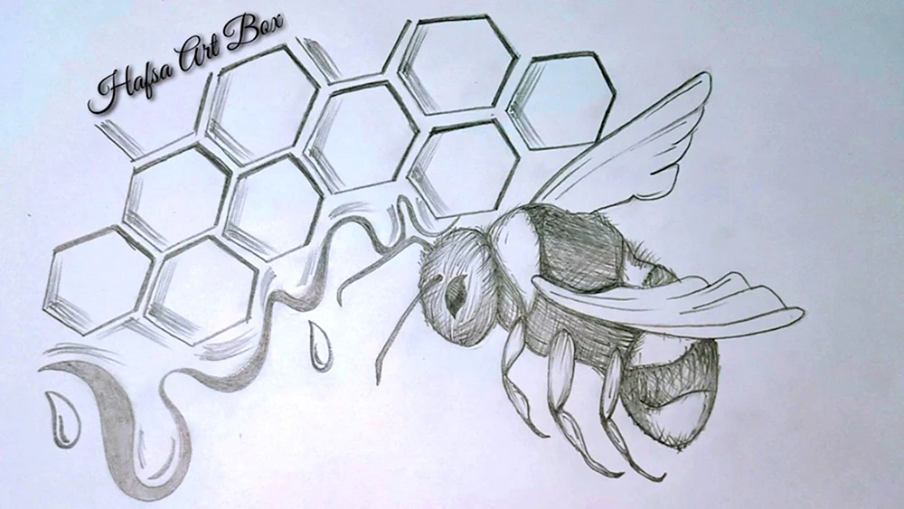 Beeeee Zeichnung mit einem Bleistift zum Zeichnen.