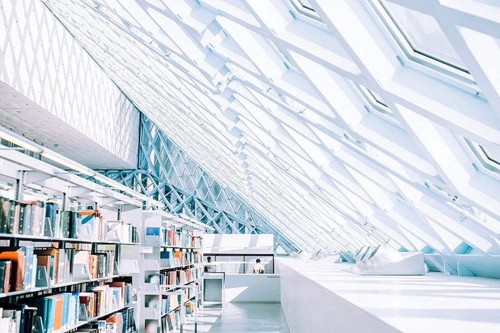Moderne Bibliothek