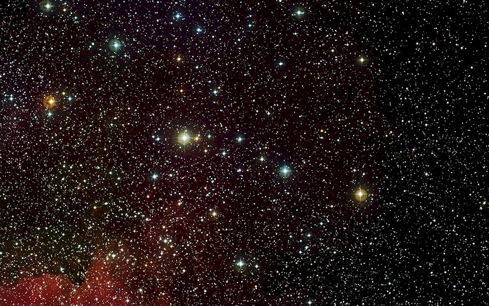 Orion Stern