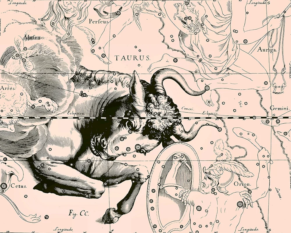 Stier-Tattoo