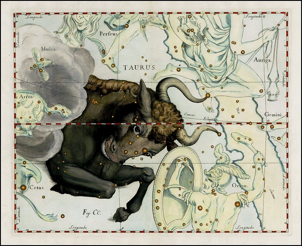 Skorpion-Tattoo auf Schlüsselbein