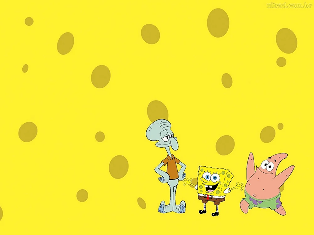 Schwammkopf Schwammkopf Bikini Bottom SpongeBob Schwammkopf Spongebob Cartoon 2009