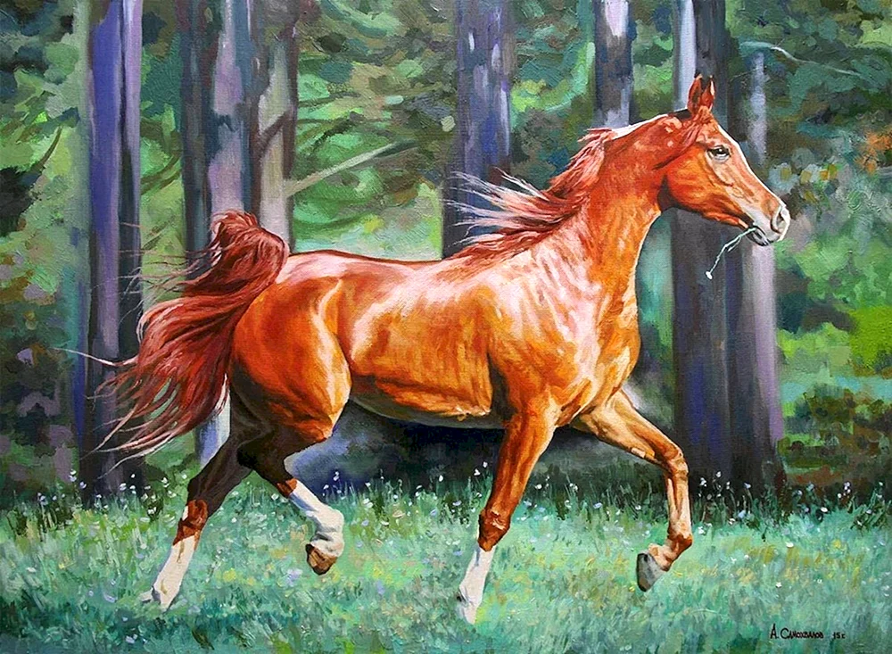 Spartaco Lombardo Pferde
