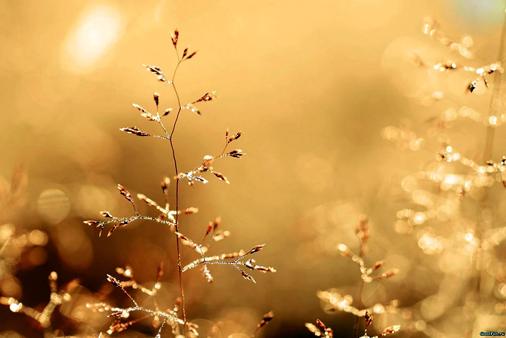 Ruhiger Hintergrund