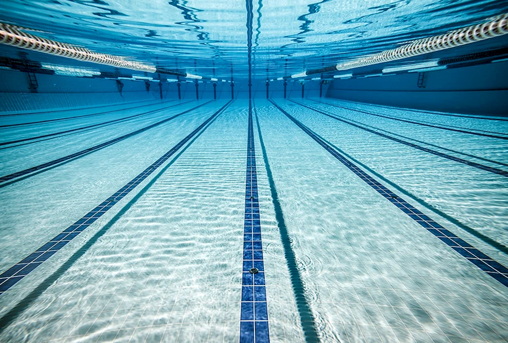 Sportbecken